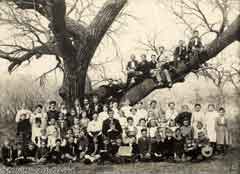 Antique picture of a large family; Actual size=240 pixels wide